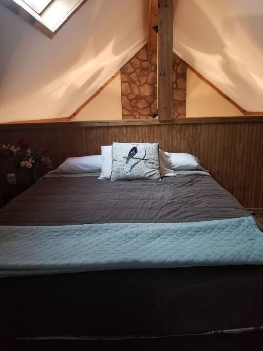 Our Private Wooded Cabin Chatham Kültér fotó